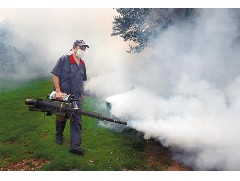江门白蚁预防工程教你灭蚊有哪些方法