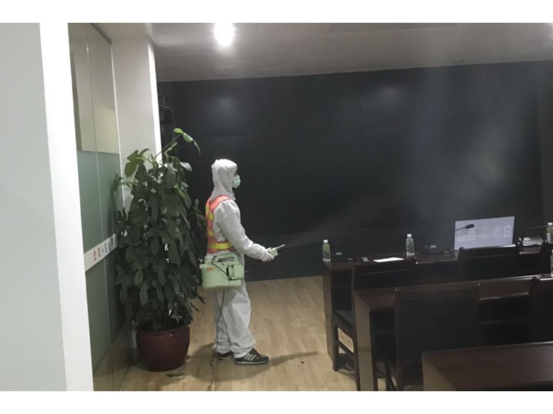 江门某公司白蚁工程
