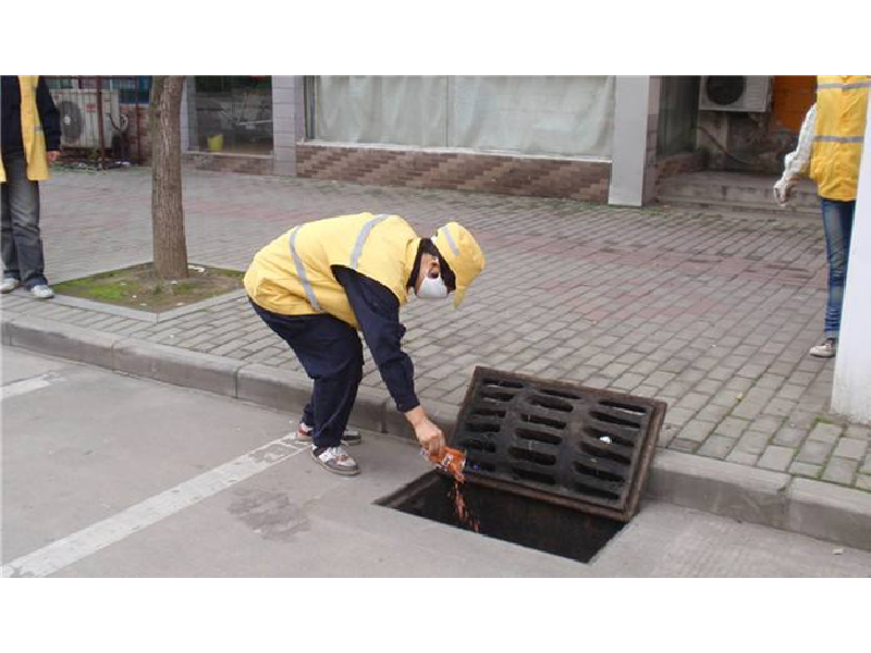 江门某街道除臭虫工程